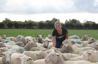 Hungry for more information?