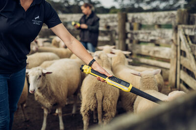 Doing more with less