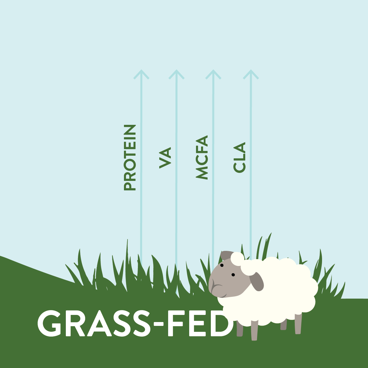 The benefits of grass-fed dairy